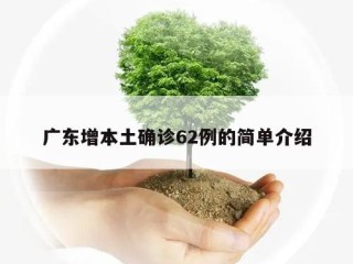 广东增本土确诊62例的简单介绍