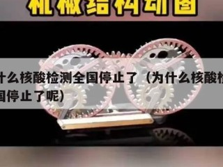 为什么核酸检测全国停止了（为什么核酸检测全国停止了呢）